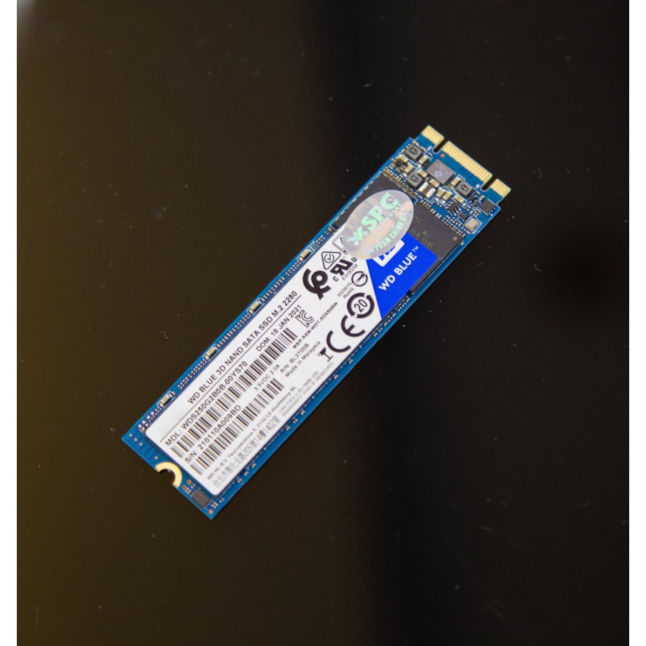 SSD Western 500GB M2 Sata 3 Blue_WDS500G2B0B Hãng - Chính Hãng - YourMemoryWorld