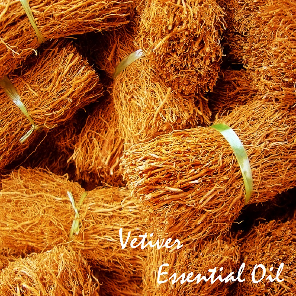 Tinh dầu cỏ Hương lau Vetiver Essential Oil (cỏ Hương Bài)
