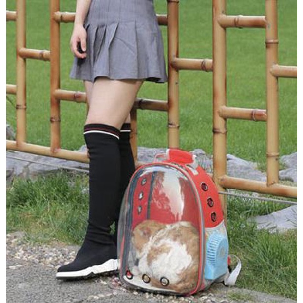 {MỚI VỀ} Balo Đựng Chó Mèo Trong Suốt Balo Phi Hành Gia Vận Chuyển Thú Cưng Tiện Lợi