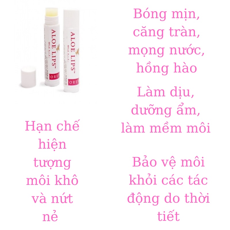 Combo 1 hộp 12 Thỏi Son dưỡng môi Lô Hội Aloe Lips