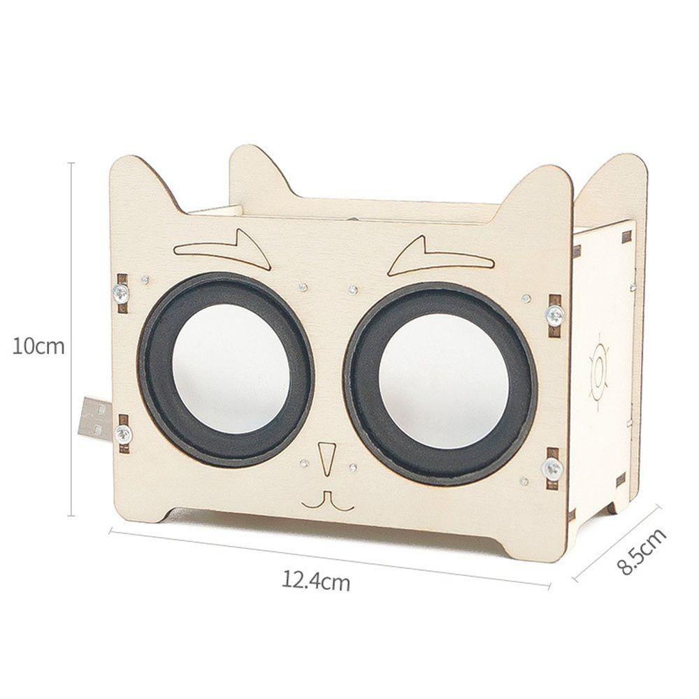Loa Bluetooth Không Dây Cho Bộ Khuếch Đại Âm Thanh Điện Tử Khoa Học Chidren DIY