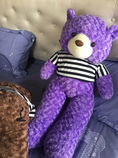 Gấu teddy khổ vải 1m