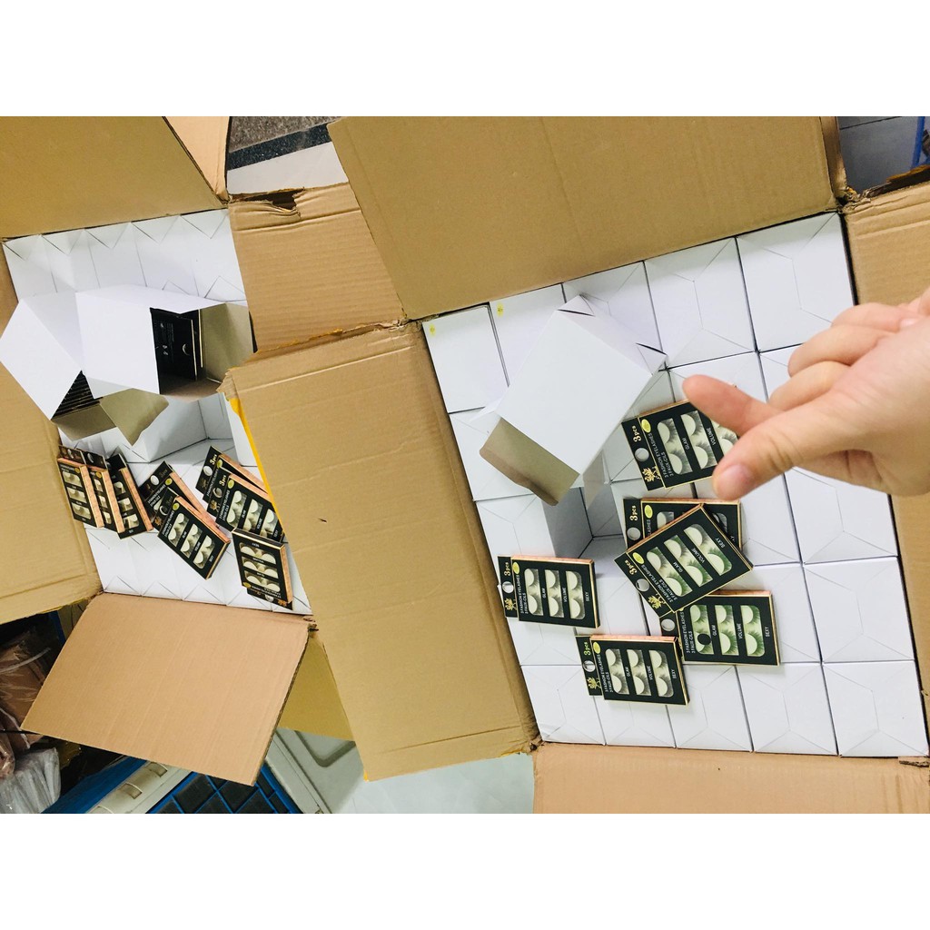 Mi giả mi 3d trang điểm mắt