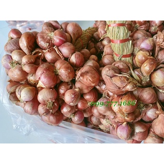 Combo 5Kg Hành Tím Sóc Trăng