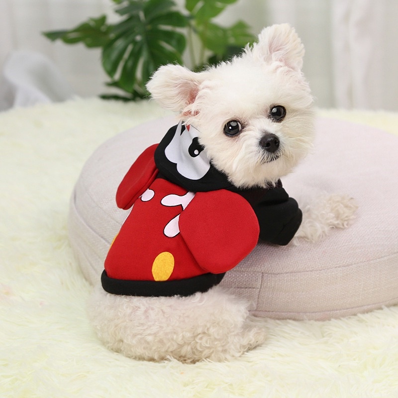 Áo Hoodie nỉ nhiều mẫu cực xinh cho cún miu