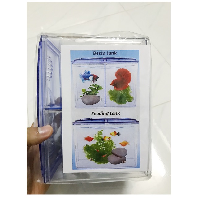 HỒ NHỰA NUÔI CÁ 2 NGĂN 18x7x13cm