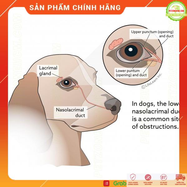 Siro uống Lacrimal Gland Fluid EYES 20ml  FREESHIP  ngăn chảy nước mắt gây ố lông làm mượt lông mắt cho chó mèo