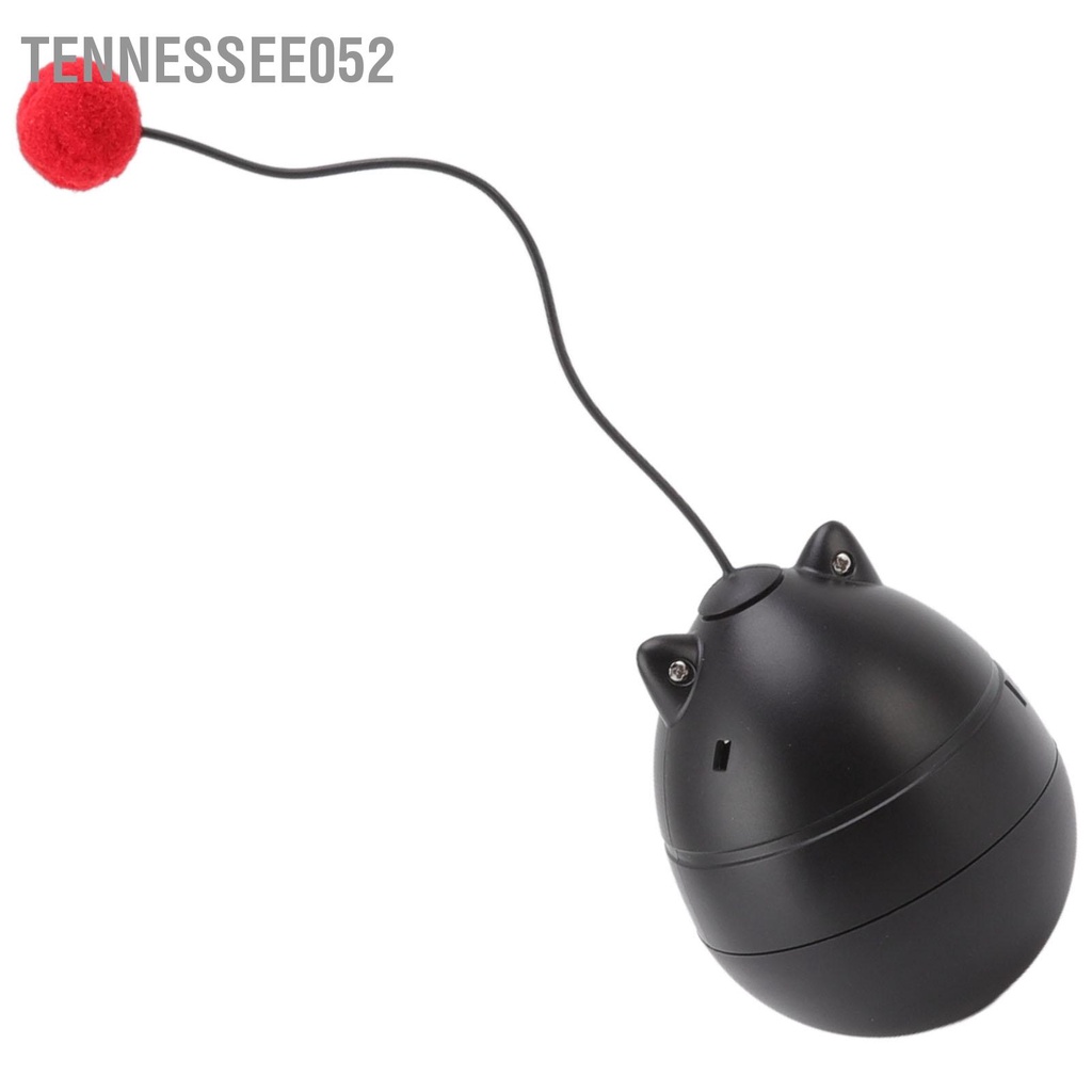 Tennessee052 Đồ chơi xích đu cho mèo Tương tác Điện tiêu thụ điện năng thấp Bảo vệ môi trường Quả bóng thú cưng vui nhộn với hai quả màu