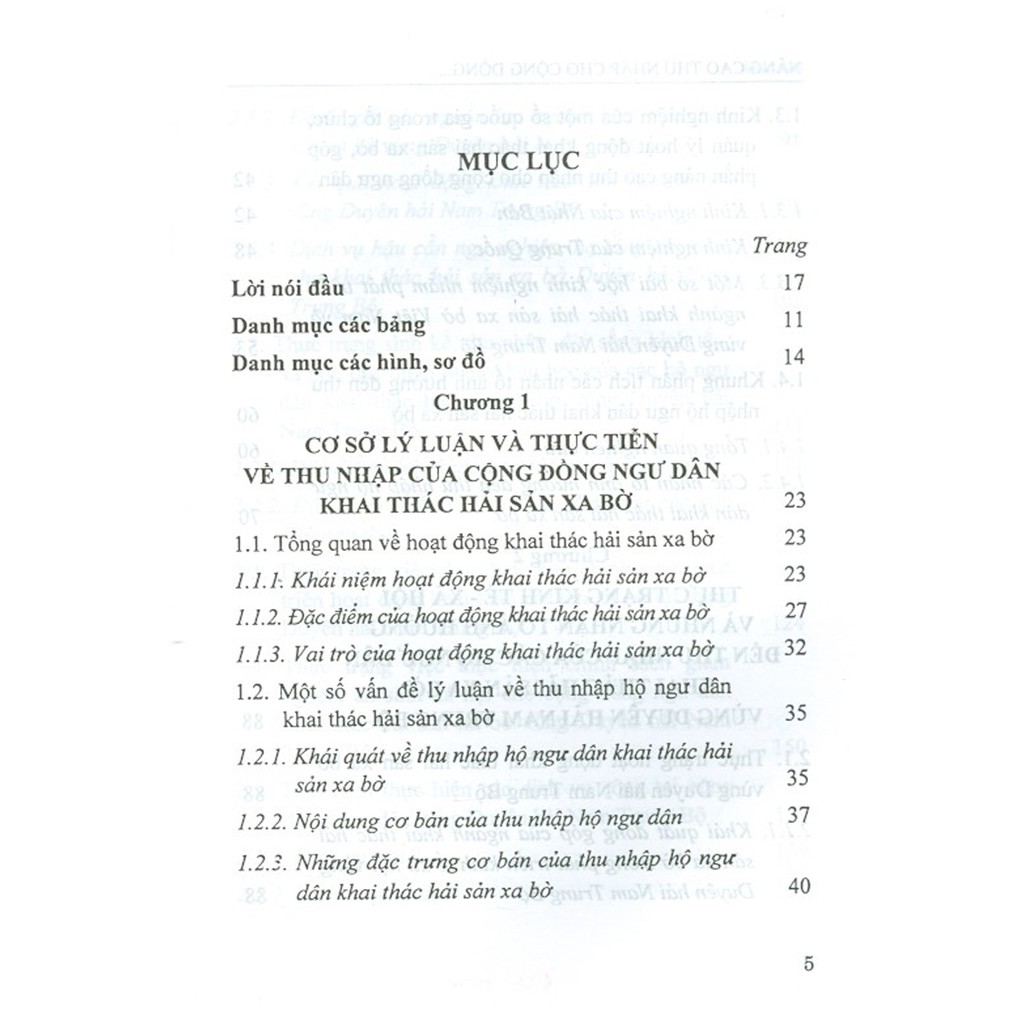 Sách - Nâng Cao Thu Nhập Cho Cộng Đồng Ngư Dân Khai Thác Hải Sản Xa Bờ Vùng Duyên Hải Nam Trung Bộ