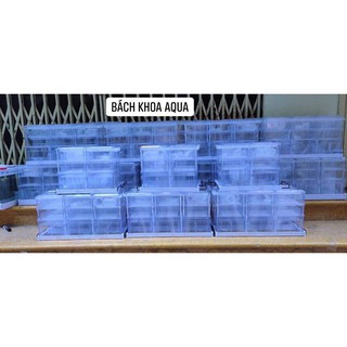 Lọc Dàn Mưa 3 Tầng Hiệu Quả Cho Bể Cá
