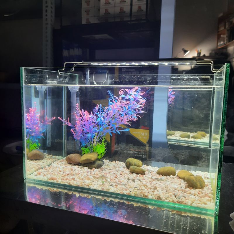 Combo Bể Cá Size 40cm (40x25x25) Nuôi Cá, Chơi Thủy Sinh, Nuôi Tép, combo gồm phụ kiện và trang trí đầy đủ