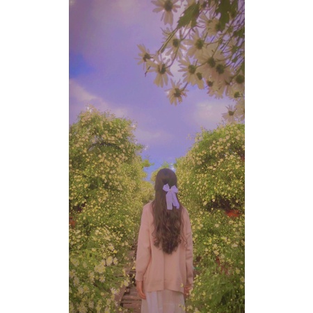 🎀Kẹp tóc nơ voan công chúa , kẹp tóc cô dâu cỡ lớn