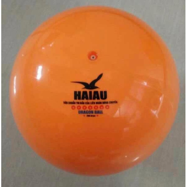 Bóng chuyền hơi Hải Âu Dragon
