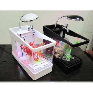 Bể cá mini để bàn kiêm Đồng hồ, Lịch hiển thị đèn led