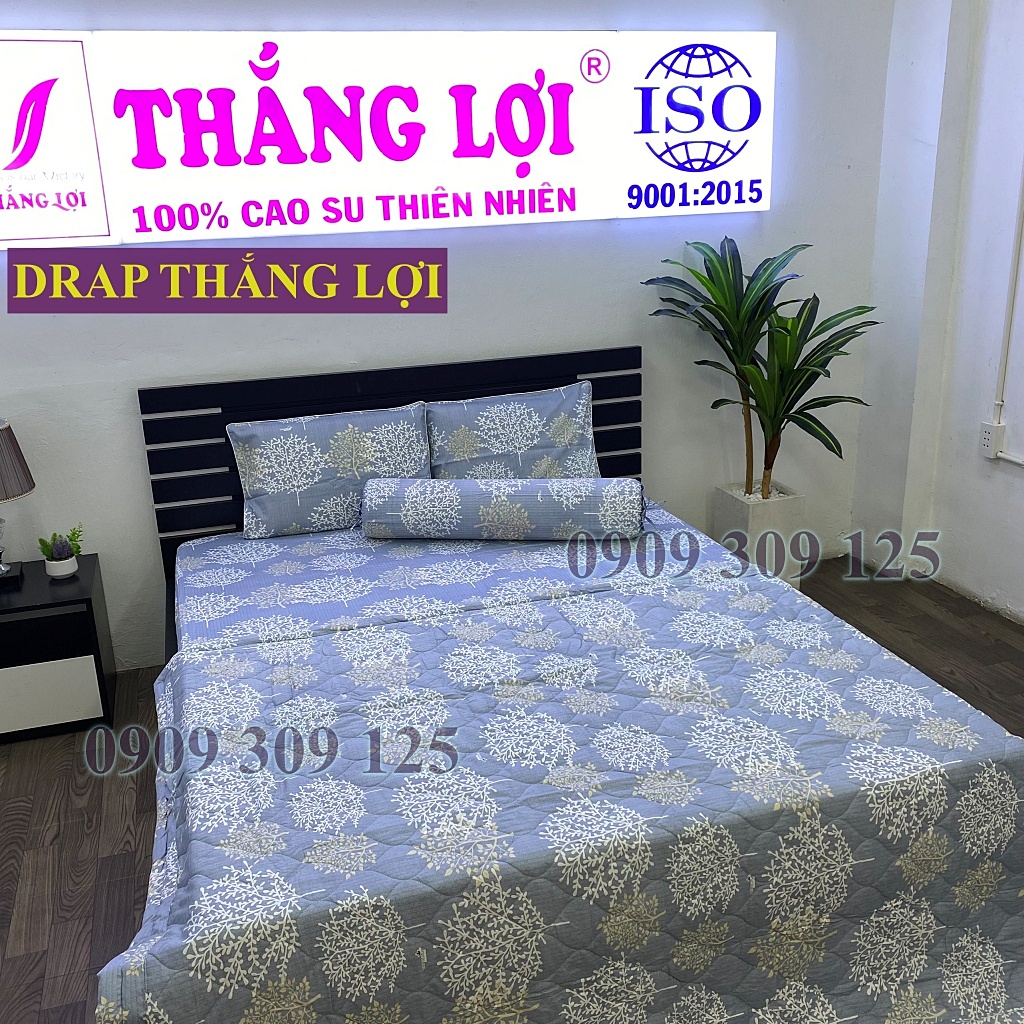 Bộ Drap 1m4 + mền Thắng lợi cao cấp chần gòn chuẩn logo thoáng mát (ga giường 5 món)