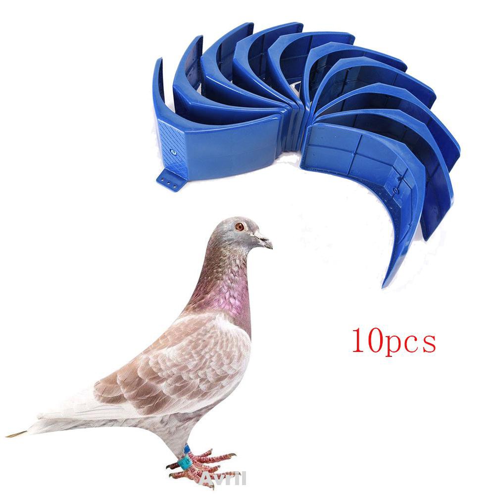 10pcs/set Bird Easy Use Support Rest Heat Resisting Pet Supply Pigeon Stand