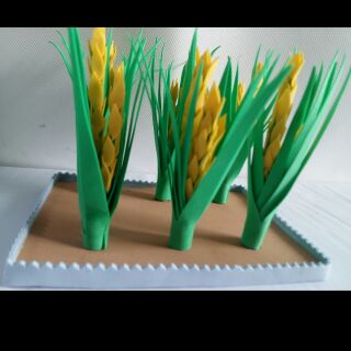 Combo đồ chơi, hoa, lúa