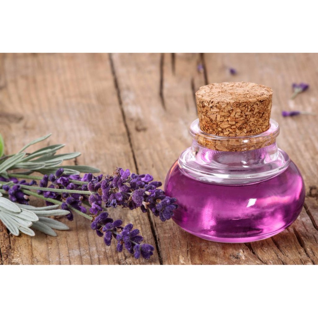 Tinh dầu oải hương 1 lo 10ml nguyên chất ( dùng cho đèn xông tinh dầu) GT008