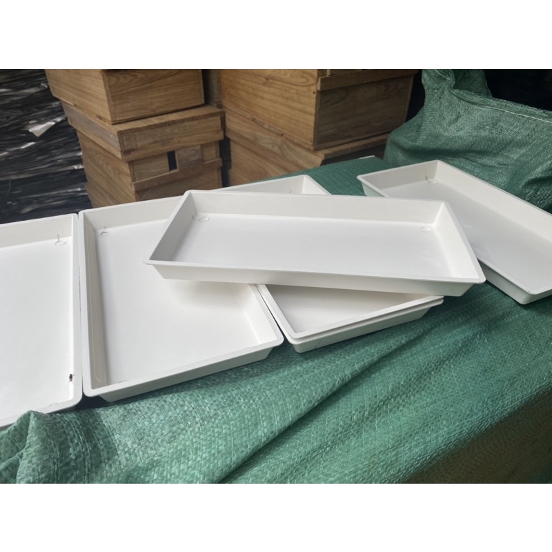 10 máng ăn ong ngoại