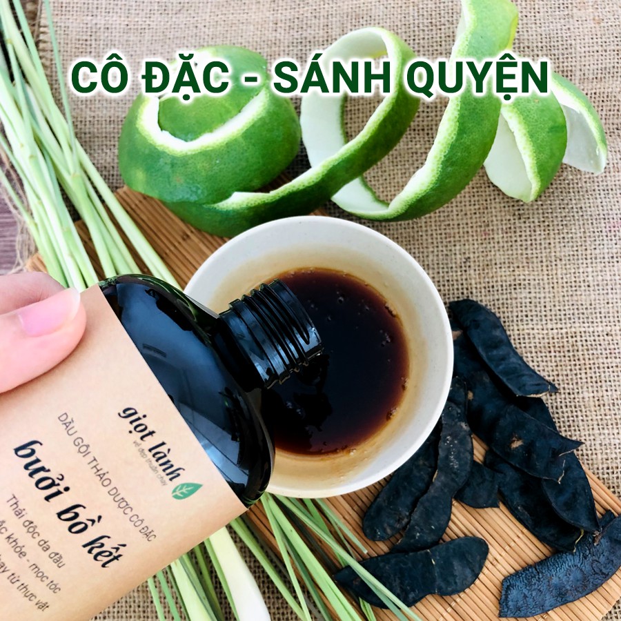 Bộ dầu gội bưởi bồ kết - Xịt tóc tinh dầu bưởi, kích mọc tóc, giảm gãy rụng Giọt Lành