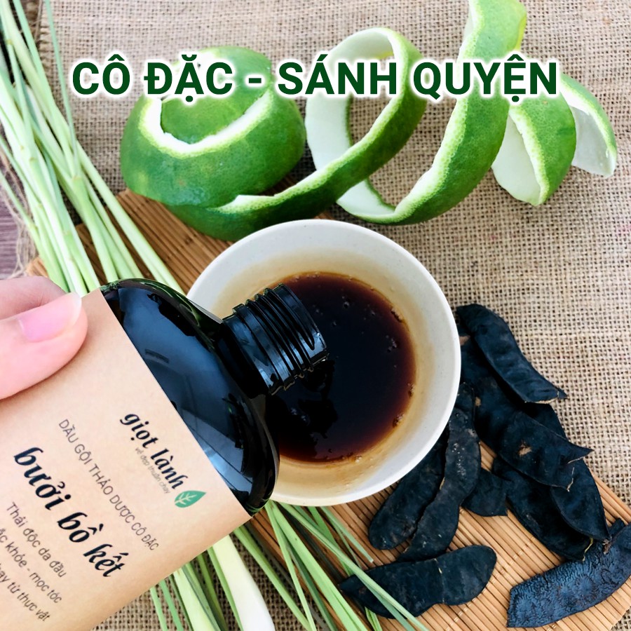 Combo 2 chai Dầu gội bưởi - bồ kết kích tóc mọc, giảm gãy rụng Giọt Lành - 500ml