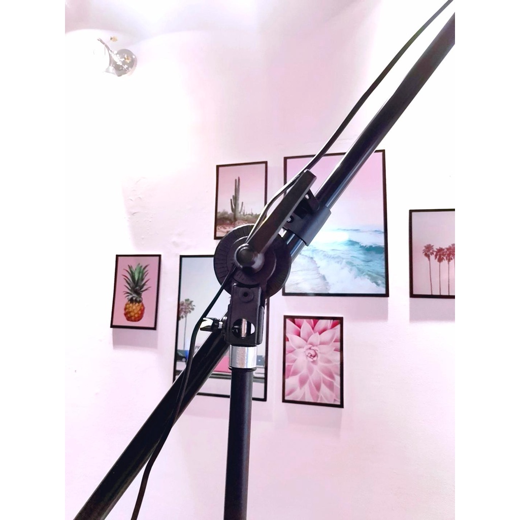 Bộ Kit Baoblaze Softbox Linco zenith chân 8806 tay treo kèm bóng đèn 80w livestream chụp hình studio
