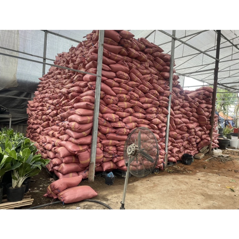 1 kg xơ dừa đã qua xử lý