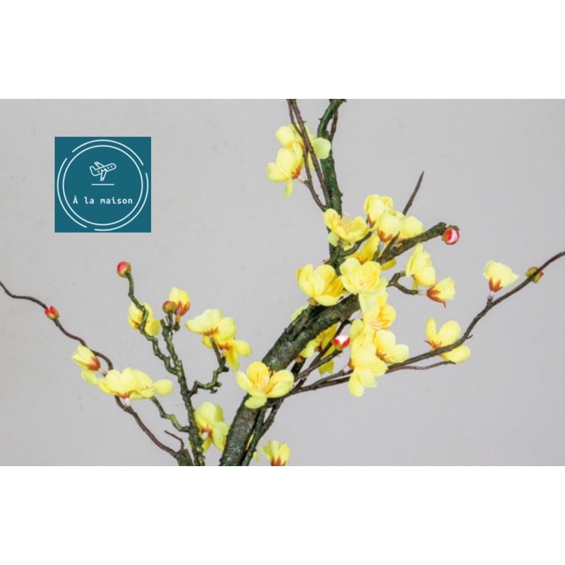 Cành hoàng mai cao cấp 127cm trang trí thiết kế không gian sang trọng bán cổ điển