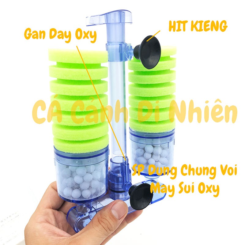 Lọc sủi vi sinh hơi bio bông ĐÔI kèm vật liệu lọc XY-2882 XINYOU XY2882