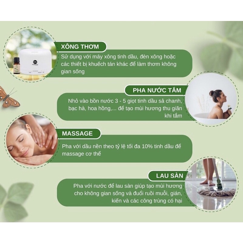 TINH DẦU SẢ CHANH NỒNG ẤM GÓC NHÀ