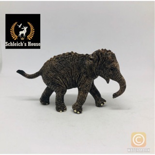 Mô hình Voi Châu Á con Schleich 14655