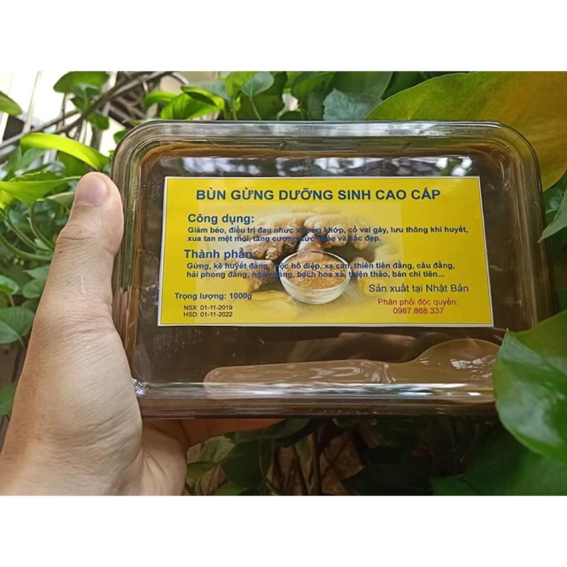 Bùn gừng