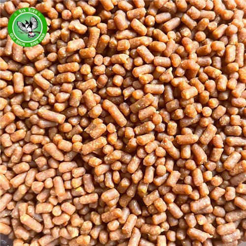 Cám chào Mào Quang Nguyễn - Cám Dinh Dưỡng Cao Cấp