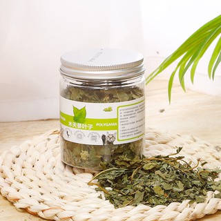 CỎ MÈO BẠC HÀ HỘP 10g