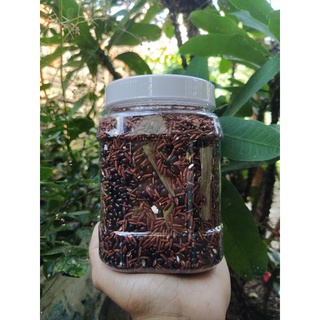 Trà Gạo Lứt NV 500g