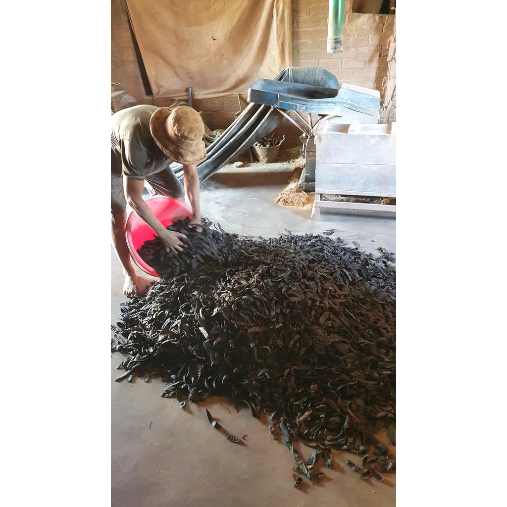 Combo 3Hộp nhang Bồ Kết Dương Minh nhang sạch 100% thành phần tự nhiên hương nhang thắp cúng xông nhà an toàn