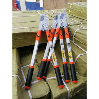 KÉO DÀI CẮT TỈA CÀNH CÂY ĐA NĂNG CỘNG LỰC