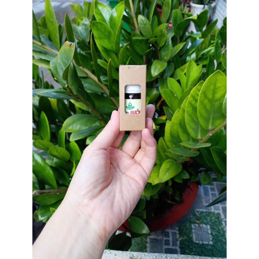 50 cái - Hộp giấy kraft đựng chai tinh dầu 10ml chai serum nước hoa chiết - Hộp số 13 Lùn