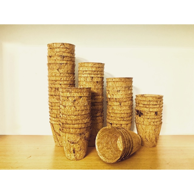Combo 50 chậu xơ dừa tròn nhỏ AN1001 - Coir pots