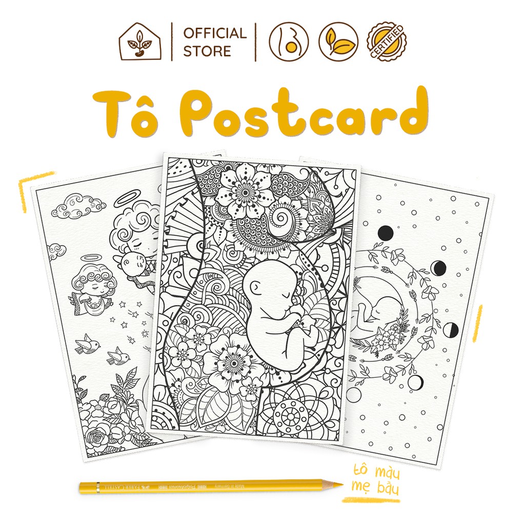 Postcard Tô Màu Độc Đáo Cho Mẹ Bầu | Nhà Đậu