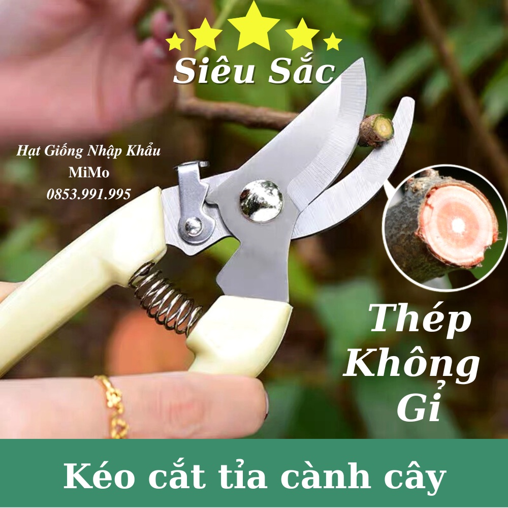 Kéo cắt cành tỉa cây siêu sắc - Thép không gỉ, thon gọn đa năng dễ sử dụng