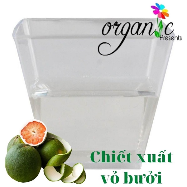 NGUYÊN LIỆU CHIẾT XUẤT VỎ BƯỞI