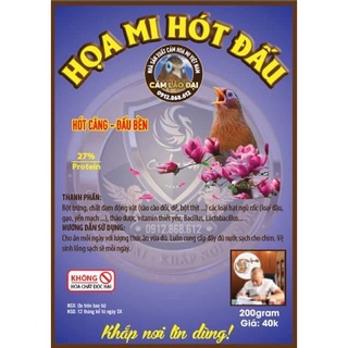 CÁM HOẠ MI HÓT ĐẤU - LÃO ĐẠI