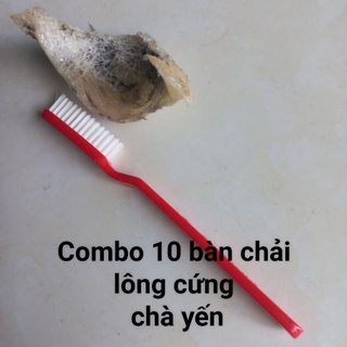 Combo 10 bàn chải lông cứng chà tổ yến