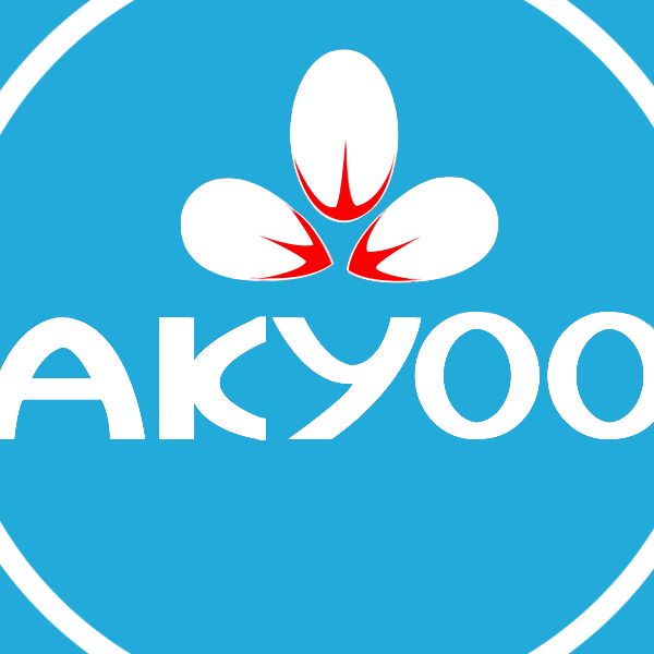 Big size nữ rẻ đẹp Akyoo