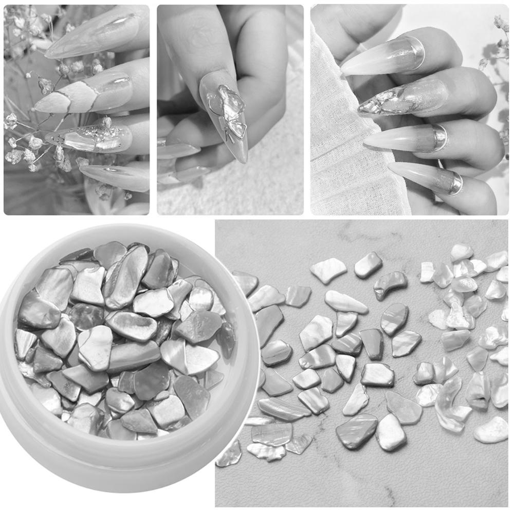 Hộp Vỏ Sò Trang Trí Móng Tay Chất Lượng Cao