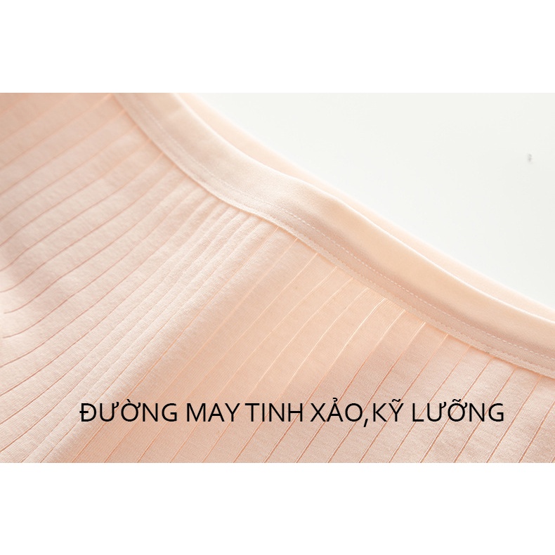 Quần lót nữ cotton kẻ sọc 310