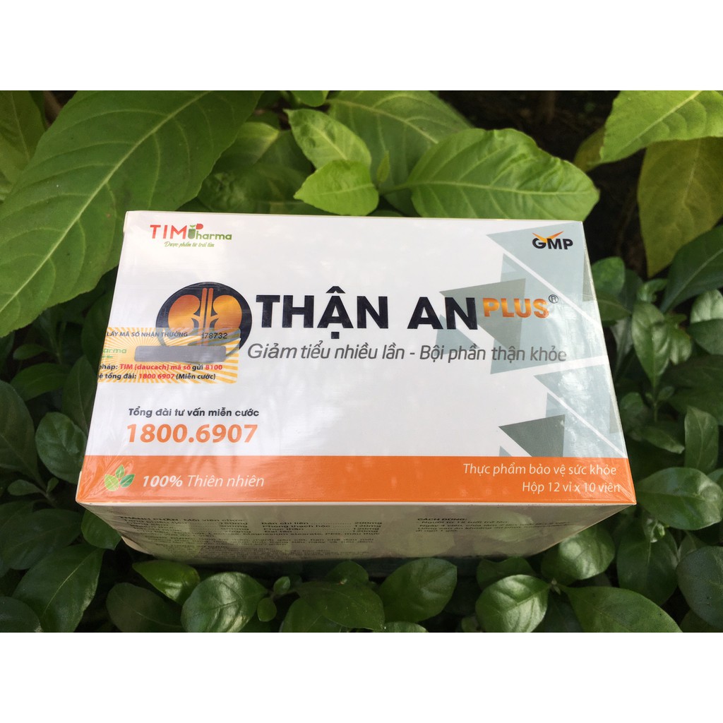 [TẶNG KÈM 1 hộp Sâm Việt] Thận an plus 120 viên - Giúp thận khỏe, giảm tình trạng tiểu đêm, tiểu nhiều lần - cvspharmacy
