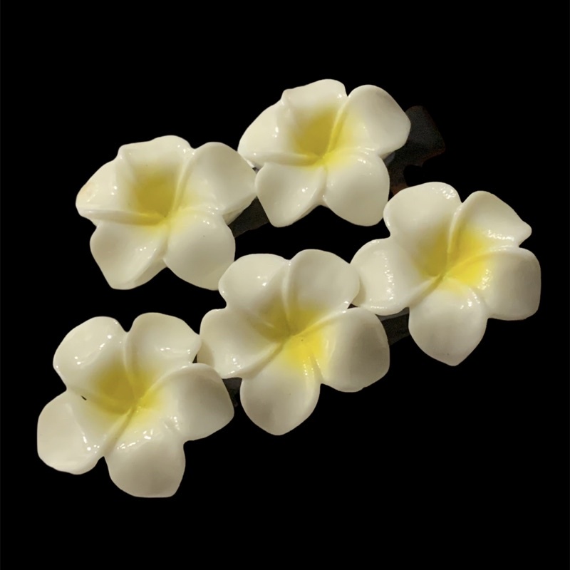 Kẹp tóc hoa sứ siê xinh phối cùng váy đầm TRIPBLE T DRESS