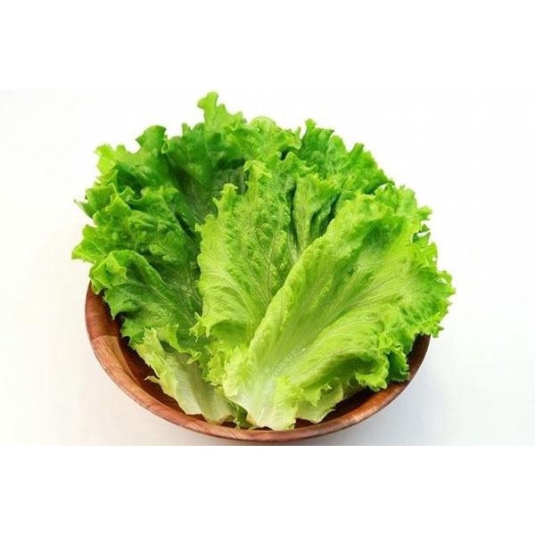 Xà Lách Chuẩn Sạch Giao Siêu Tốc 1h